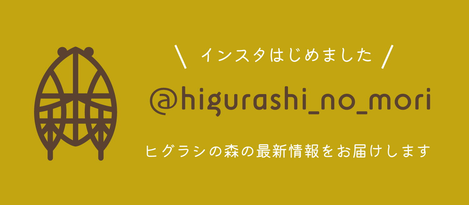 公式インスタグラムへ